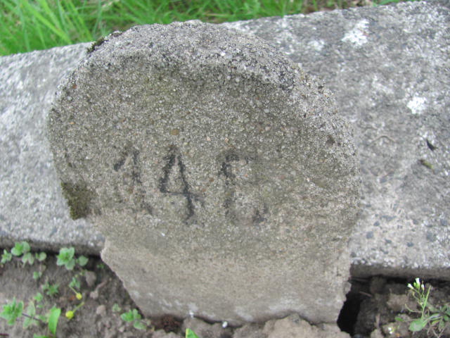 Julia Pastuszka Bieruń Nowy - Grobonet - Wyszukiwarka osób pochowanych